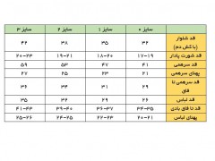 شورت پادار طرح قاب عکس نیلی