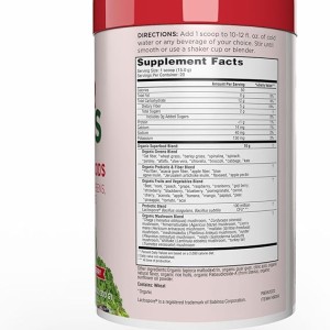 پودر پروبیوتیک گیاهی سوپر فود  300 گرمی مدل super green