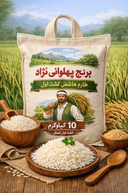 برنج طارم هاشمی کشت اول