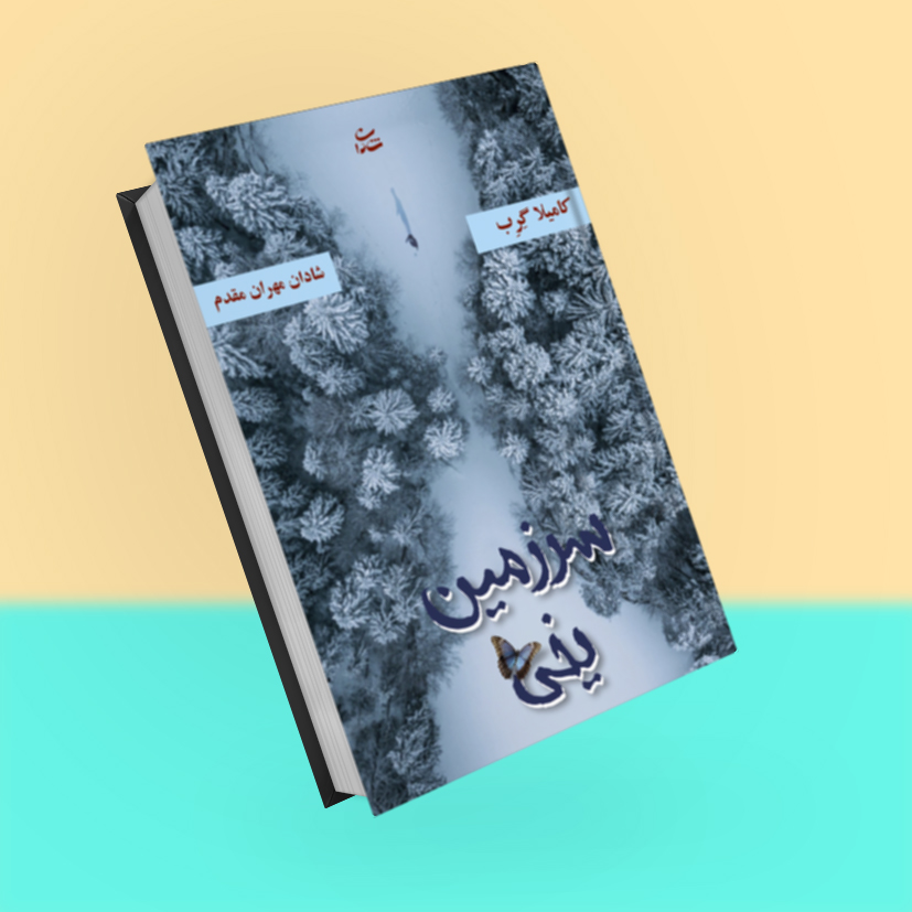 سرزمین یخی