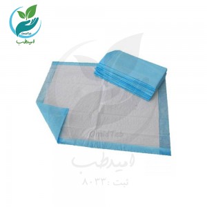 پد بهداشتی بسته ۱۰ عددی