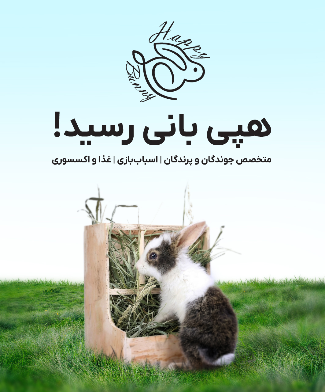هپی بانی
