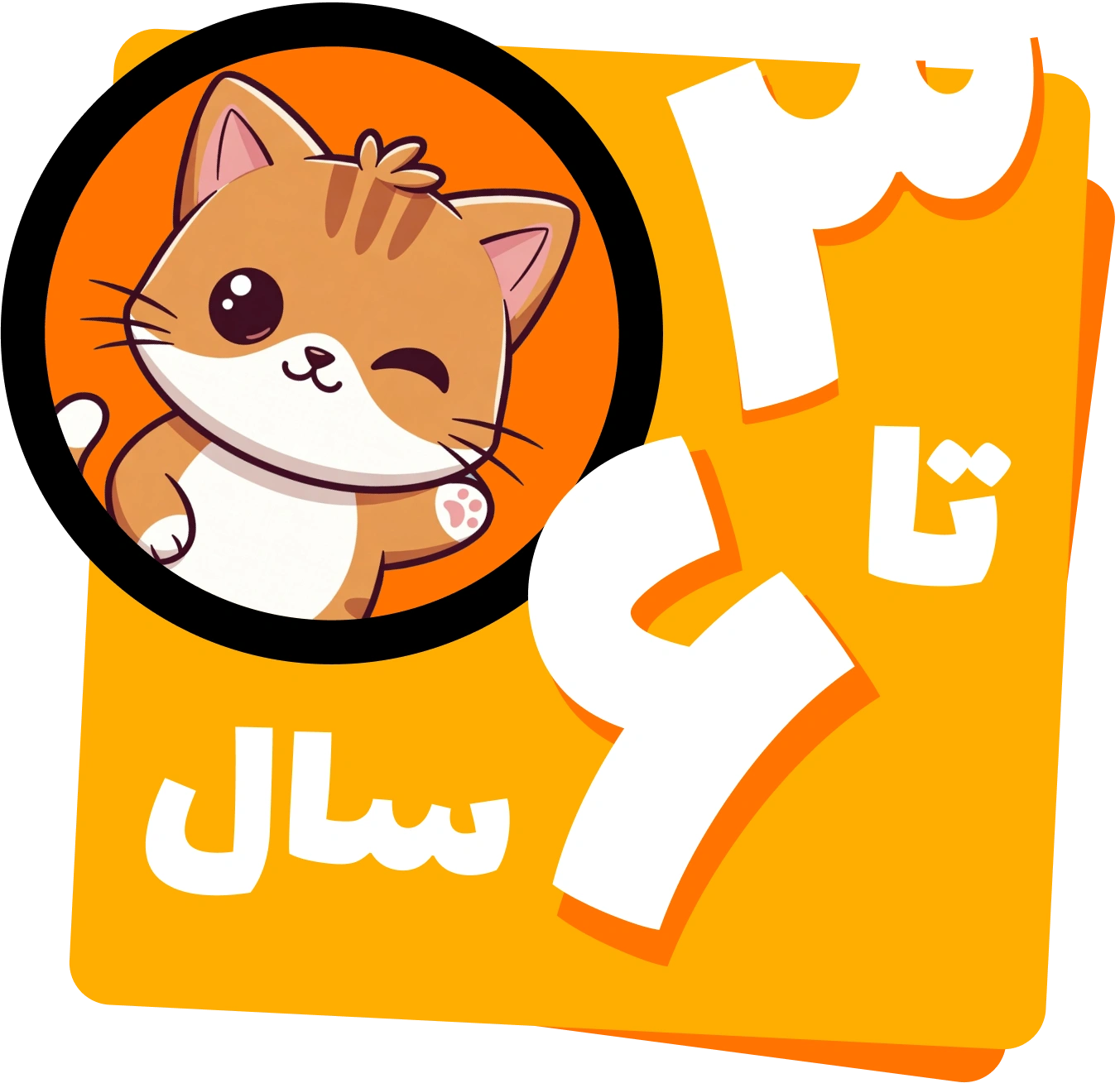 از ۳ تا ۶ سال