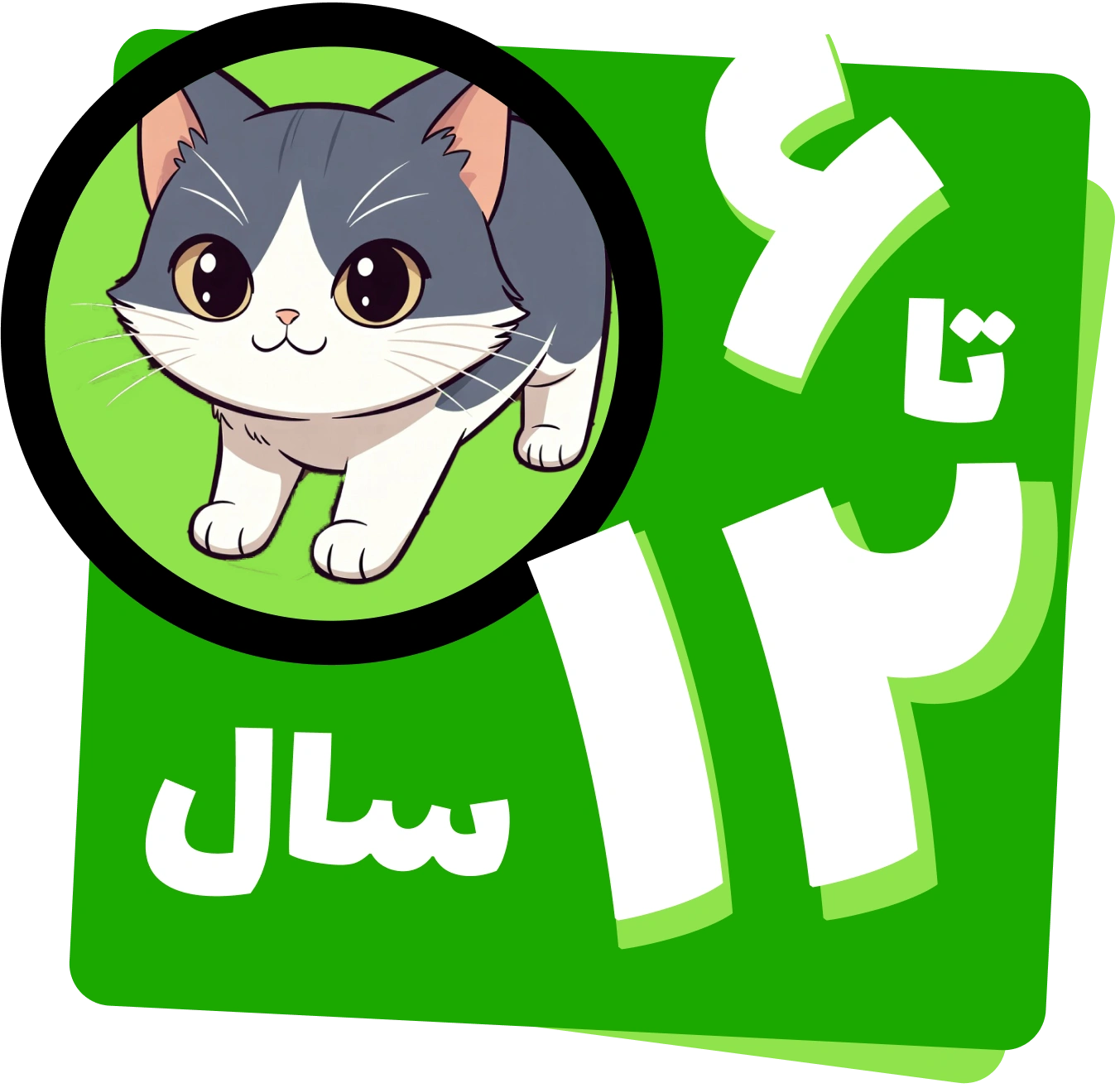 از ۶ تا ۱۲ سال