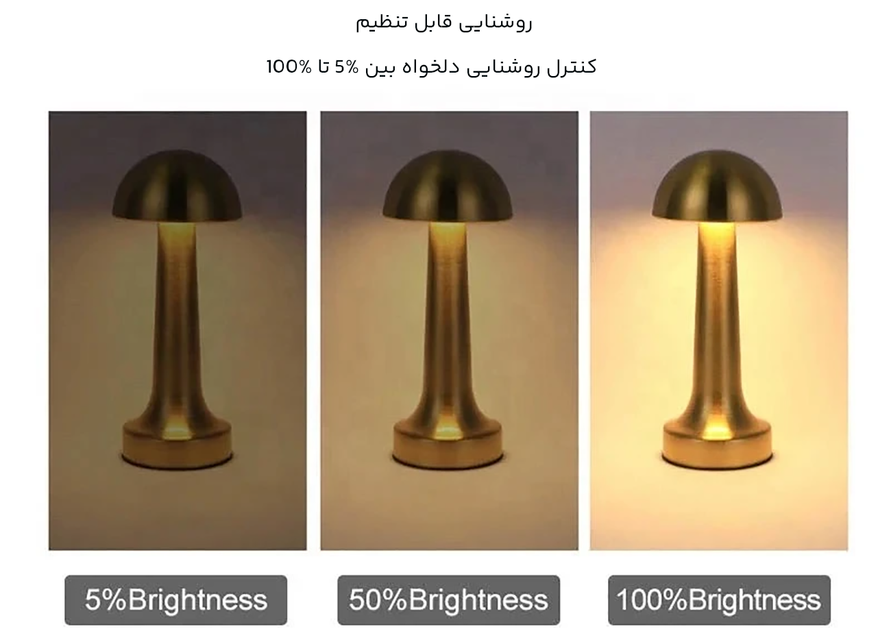 چراغ رومیزی با تنظیم روشنایی