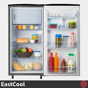 یخچال تک 9 فوت ایستکول مدل EastCool TM-919-DC | مناسب کمپینگ و کمپر