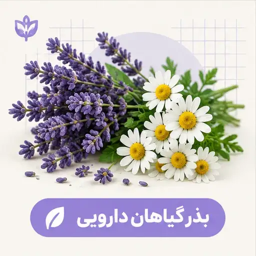 بذر گیاهان دارویی