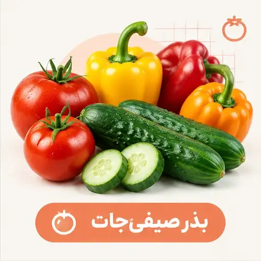 بذر انواع صیفیجات خانگی