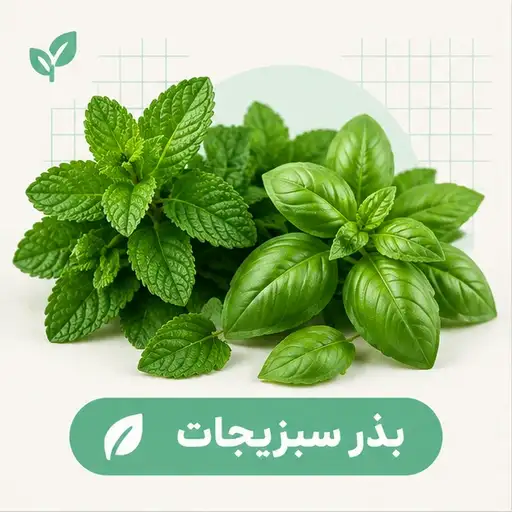 بذر سبزیجات