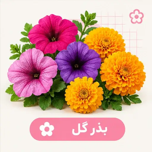 بذر انواع گل های زینتی