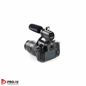 SR-Pmic1-4.jpg