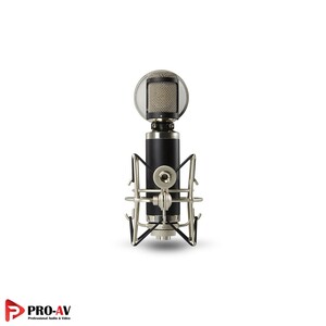 MPM2000_2-1.jpg
