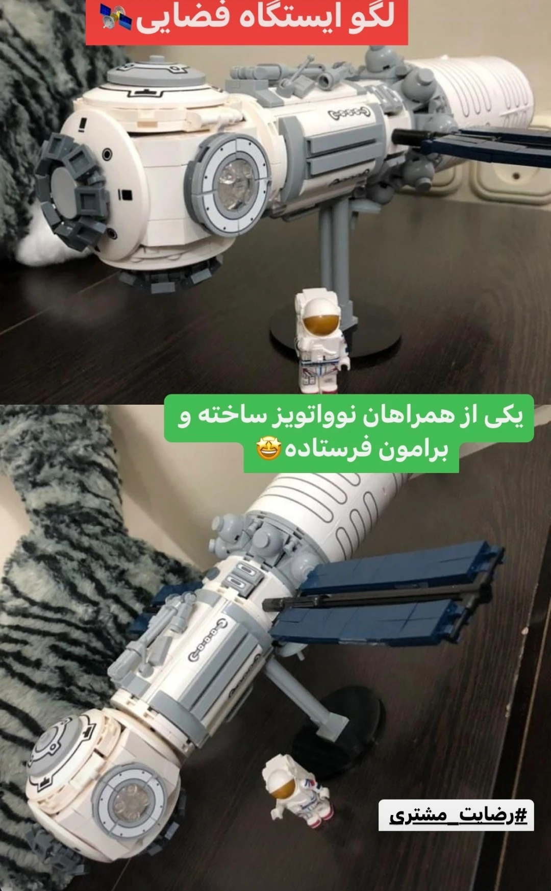 رضایت مشتری
