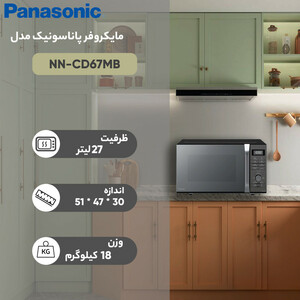 بخارگر تفال مدل DT8250E1