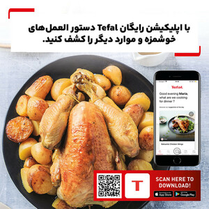 اتو بخار فیلیپس مدل 7060