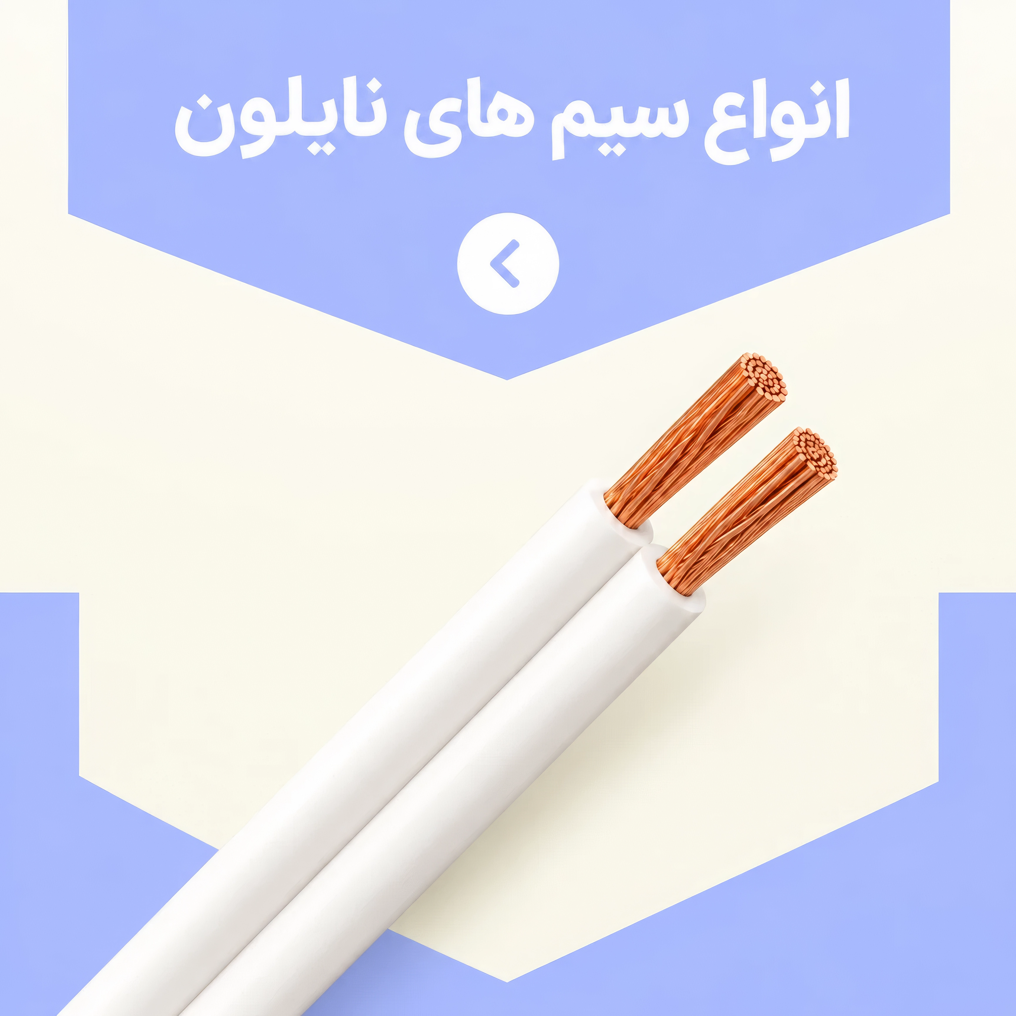 تست