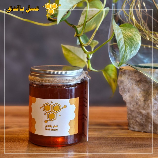 عسل طبیعی کوهستان 500 گرمی
