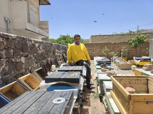 تشخیص عسل طبیعی از تقلبی