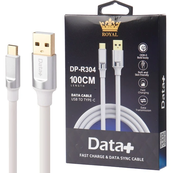 DP-R304
