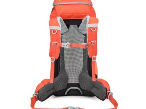 کوله پشتی کوهنوردی 50 لیتری دیوتر مدل Adventure کد 8133