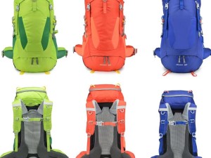 کوله پشتی کوهنوردی 50 لیتری دیوتر مدل Adventure کد 8133