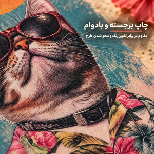 قاب سوکول برجسته y9 2019