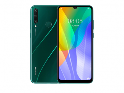 Y6P