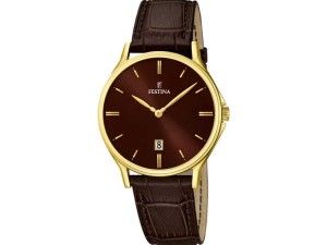 ساعت مردانه فستینا FESTINA F16747/3