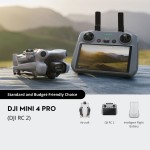مینی 4 پرو (آرسی2)-DJI Mini 4 Pro (DJI RC 2)
