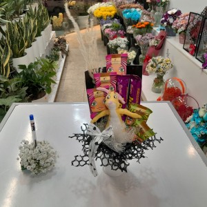 پک اقتصادی ولنتاین با گل و عروسک کد B3 برند آنایو