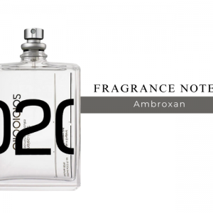 عطر گرمی مولکول