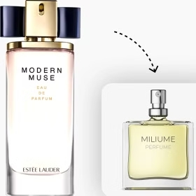 عطر گرمی استی لودر مدرن موس برند آنایو  SFA