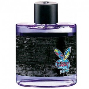 عطر گرمی پلی بوی نیویورک