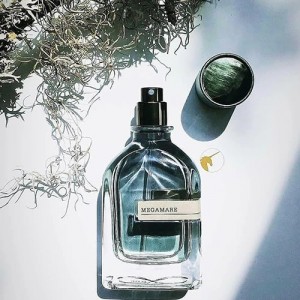 عطر ادوپرفیوم الحمبرا مدل مگارا رایحه تلخ و خنک