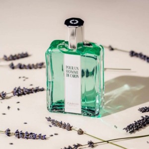 عطر داگلاس دسته گرمی مردانه برندینی مدل پوران هوم  گرم و تلخ