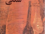 کتاب آفریقای سنتی