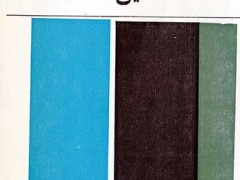 کتاب این شکسته ها