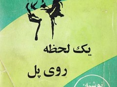 کتاب یک لحظه روی پل