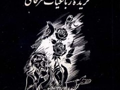 کتاب در خلوت شب