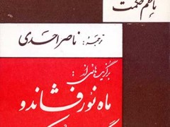 کتاب برگزیده هایی از ماه نور افشاند و سگ عو عو کند