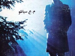 کتاب رگبارها