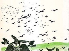 کتاب کلاغ پیر