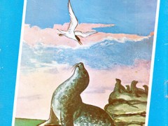 کتاب بچه فوک