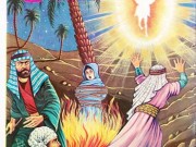 کتاب اذا جاء نصر الله و الفتح