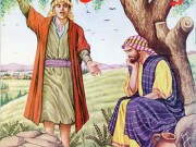کتاب نیرنگ بخیل