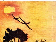 کتاب پل و ویرژینی