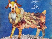 کتاب بزی که گم شد