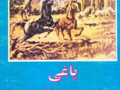کتاب یاغی