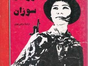 کتاب ویتنام سرزمین سوزان