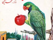 کتاب طوطی بی گناه